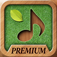 Sound Massage Premium - No more gloomy days!